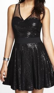 Express fit and flare dress